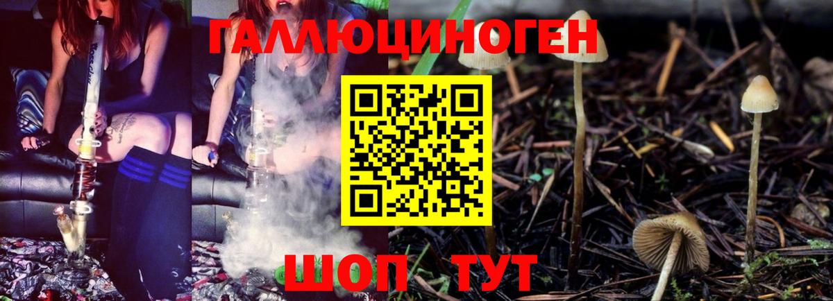 Галлюциногенные грибы Cubensis Корсаков